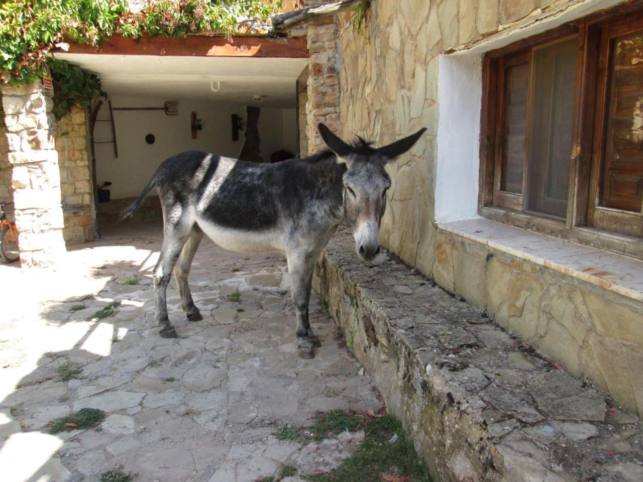 Camping Casa Fausto Cerca De Dinopolis Formiche Alto المظهر الخارجي الصورة